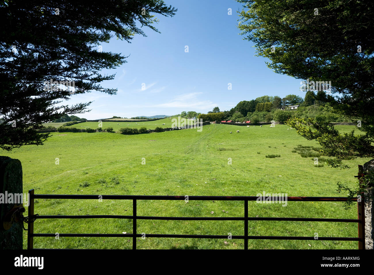 Campagna su un5074 vicino a Windermere, Parco Nazionale del Distretto dei Laghi, Cumbria, England, Regno Unito Foto Stock