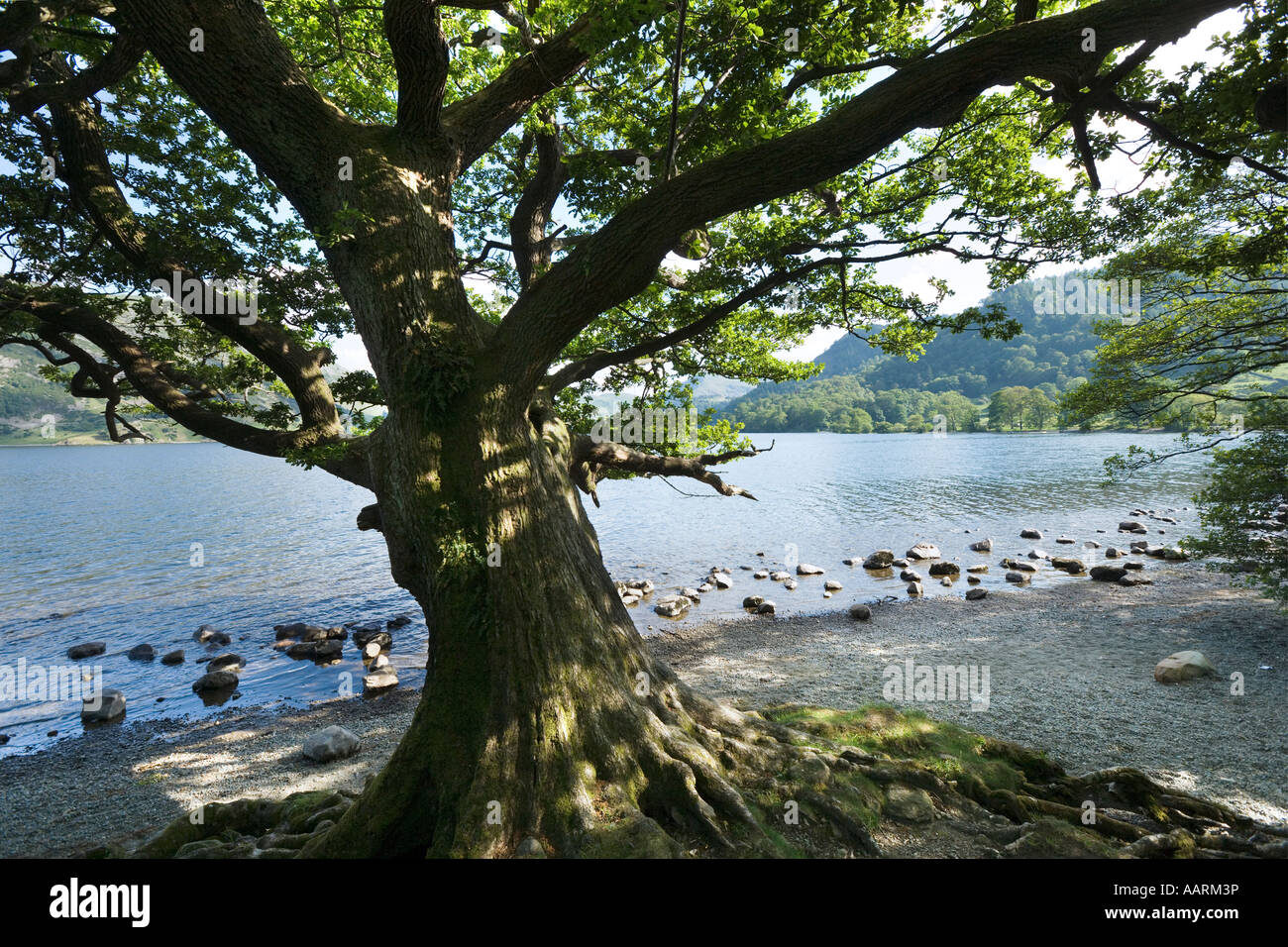 Ullswater, Parco Nazionale del Distretto dei Laghi, Cumbria, England, Regno Unito Foto Stock