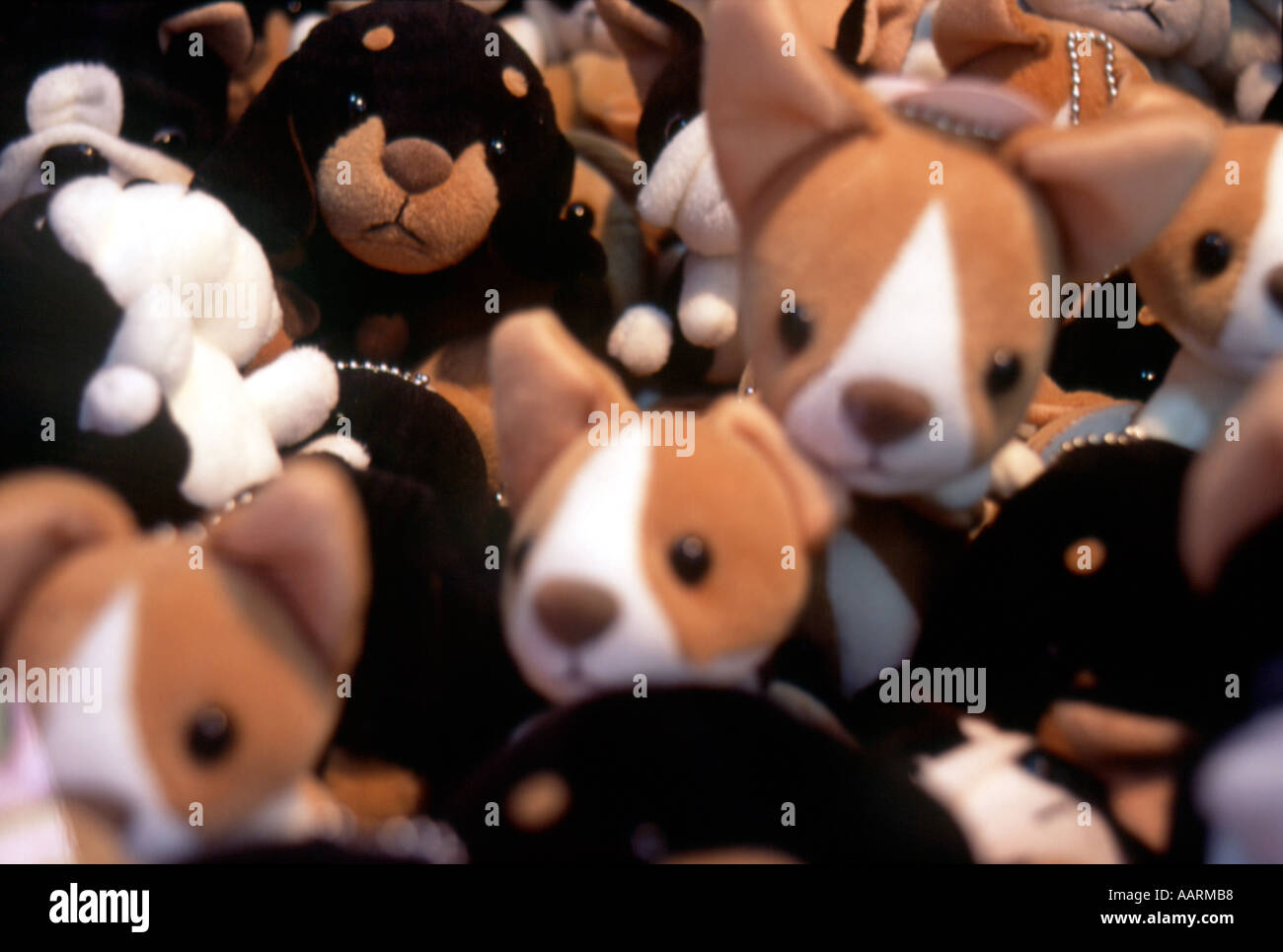 I peluche di Kyoto in Giappone Foto Stock