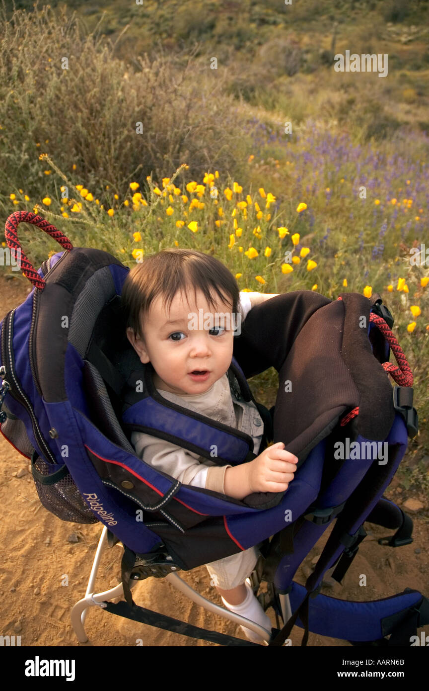 Bambino in zaino in appoggio alla Grotta Creek Parco Regionale Area metropolitana di Phoenix in Arizona U S A Foto Stock