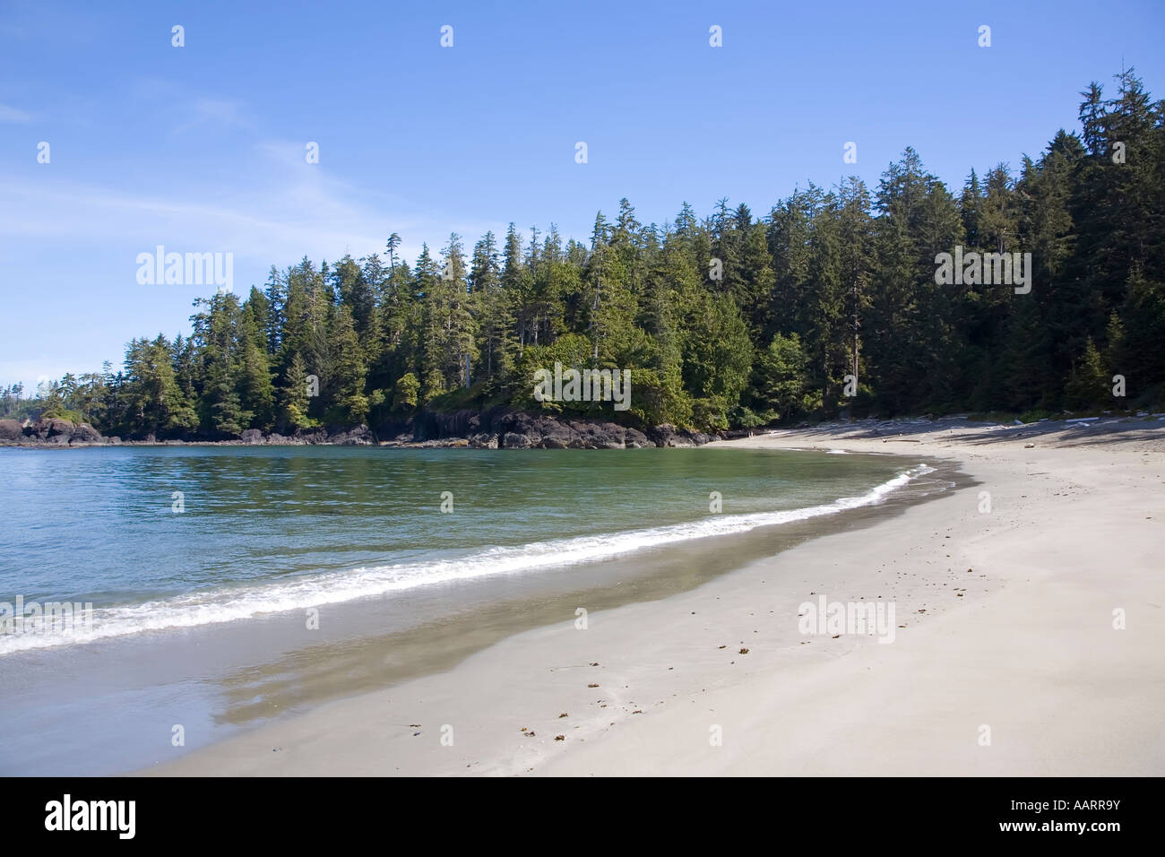 Spiaggia deserta, Halfmoon Bay, isola di Vancouver, Canada Foto Stock