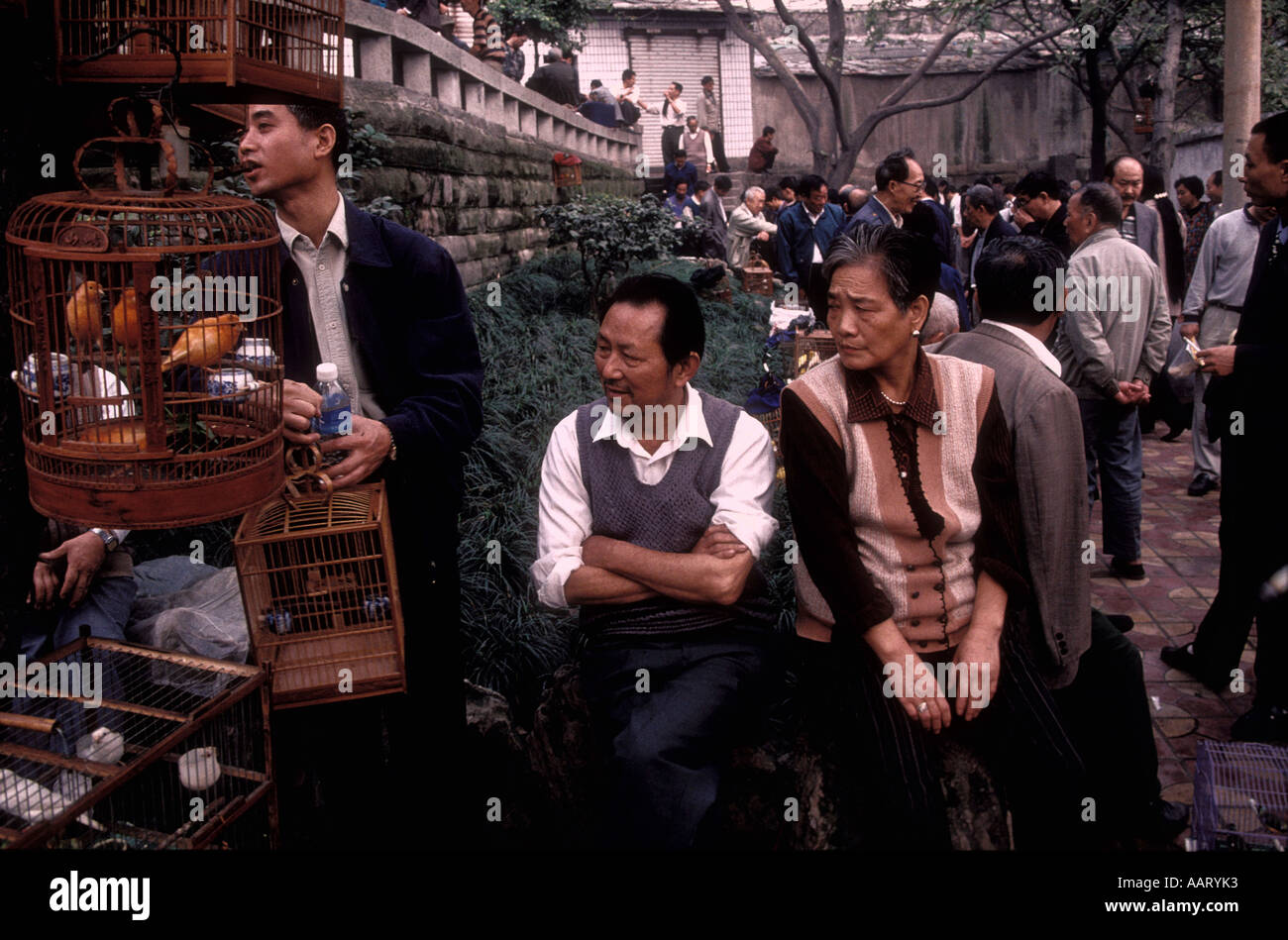 Uccelli da gabbia sono venduti a un mercato di strada in Cina Chongquing Foto Stock