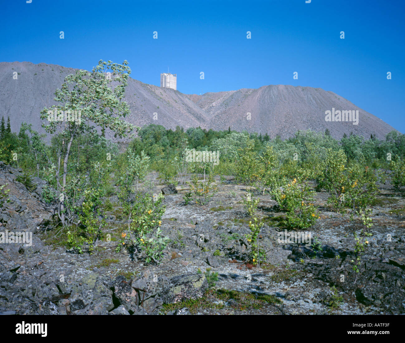 La mia testa albero palazzo visto sopra cumuli di scorie, Malmberget (ore) di montagna, Lappland, Norrbottens län (Svezia). Foto Stock