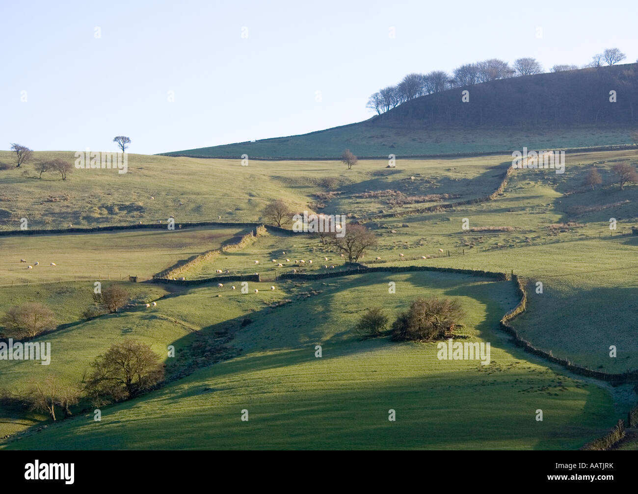 Vista verso il legno Moss, Peak District Foto Stock