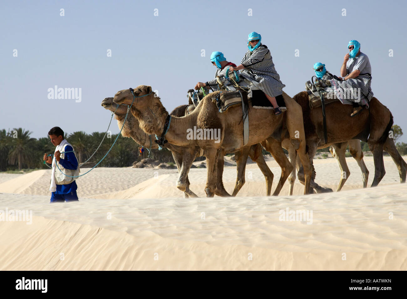 Quattro turisti britannici sui cammelli essendo guidato da beduino guida attraverso le dune di sabbia del deserto del Sahara a Douz Tunisia Foto Stock