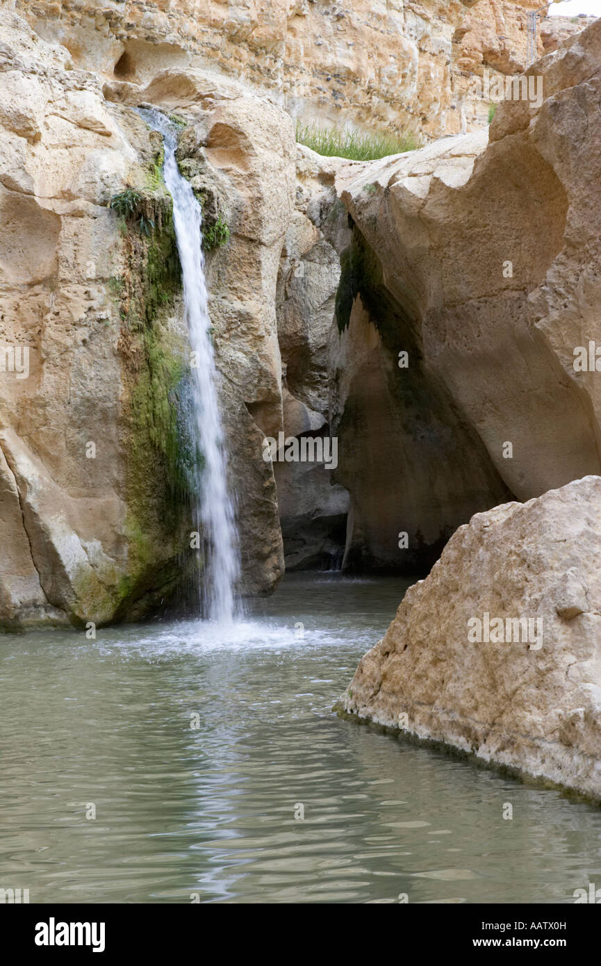 In prossimità della grande cascata nel canyon a tamerza oasi in montagna  tunisia Foto stock - Alamy