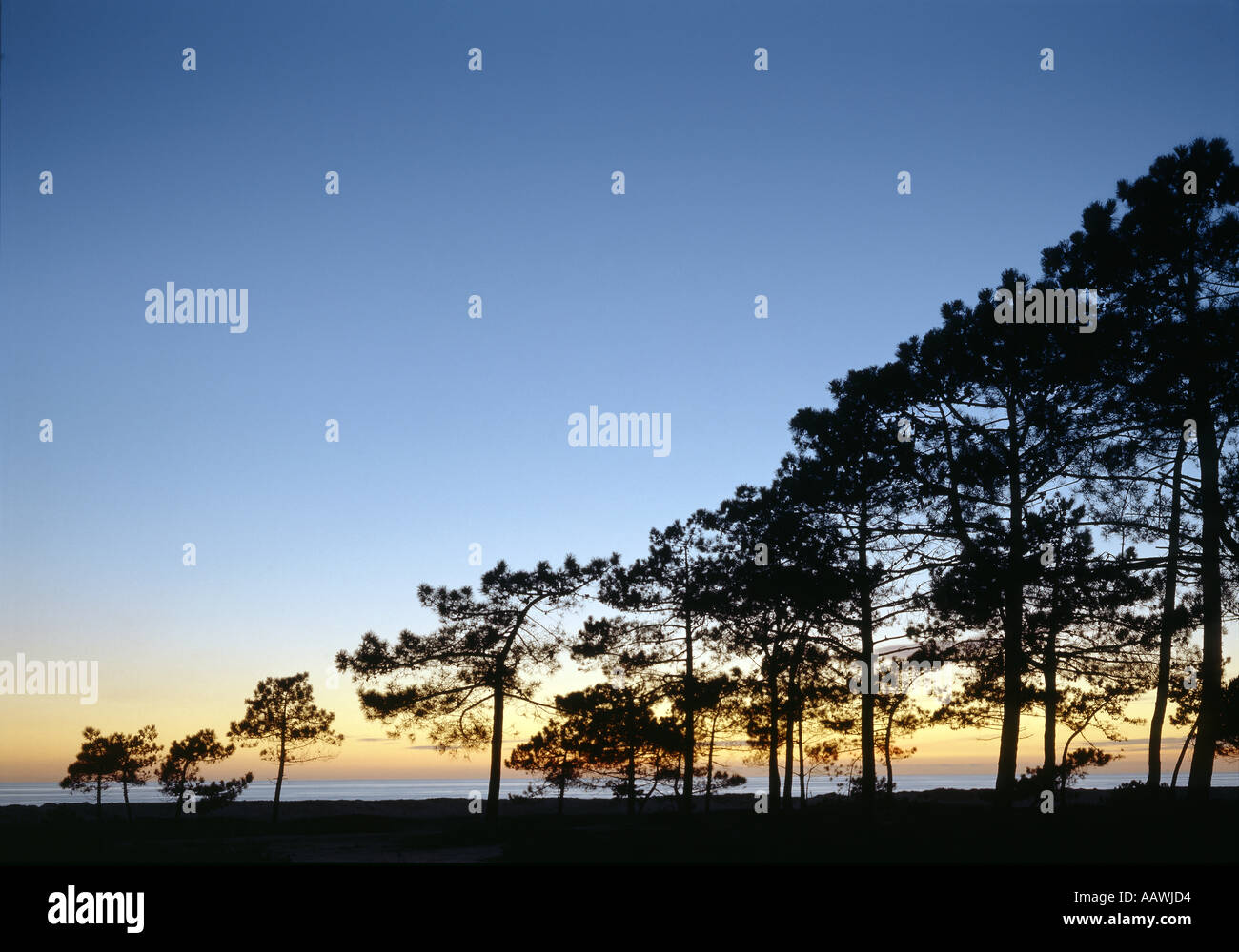 Algarve, Quinta do Lago Foto Stock