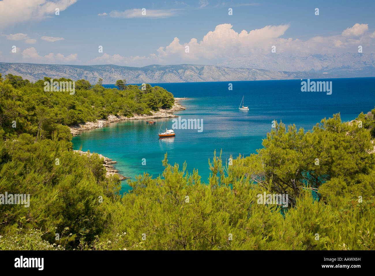 Baia solitaria, U. Maslinica, isola Hvar, Dalmazia, Croazia Foto Stock