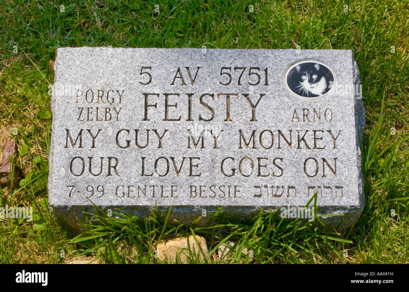 Pietra tombale per il gatto Feisty al Hartsdale cimitero di Pet in Hartsdale NY Foto Stock