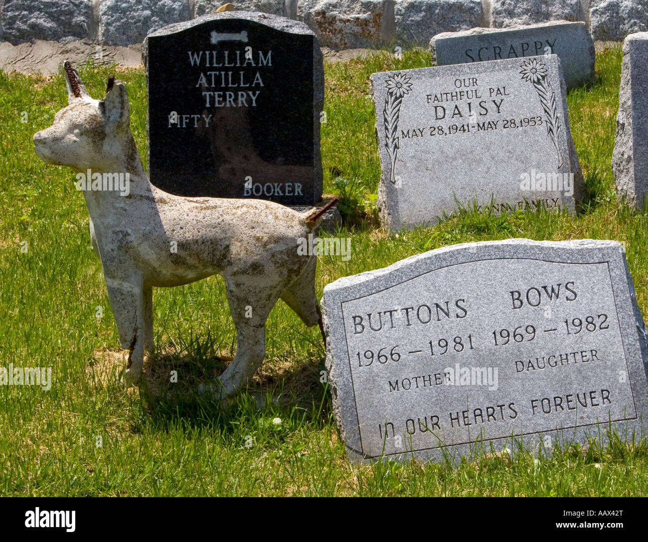 Le lapidi per vari animali in Hartsdale cimitero di Pet in Hartsdale New York Foto Stock