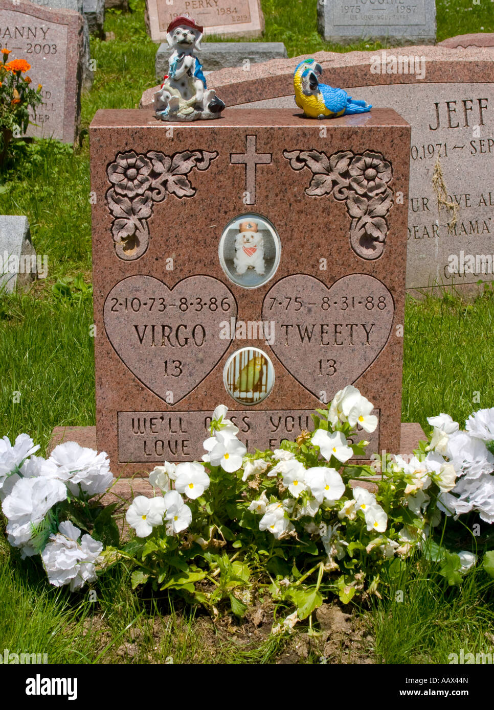 Pietra tombale per il bird Tweety e cane Virgo a Hartsdale cimitero di Pet in Hartsdale New York Foto Stock