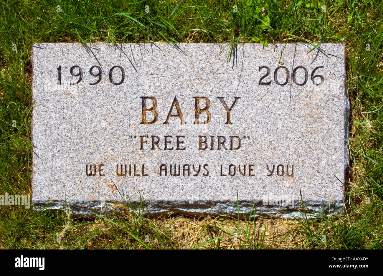 Pietra tombale per il bird Baby al Hartsdale cimitero di Pet in Hartsdale NY Foto Stock