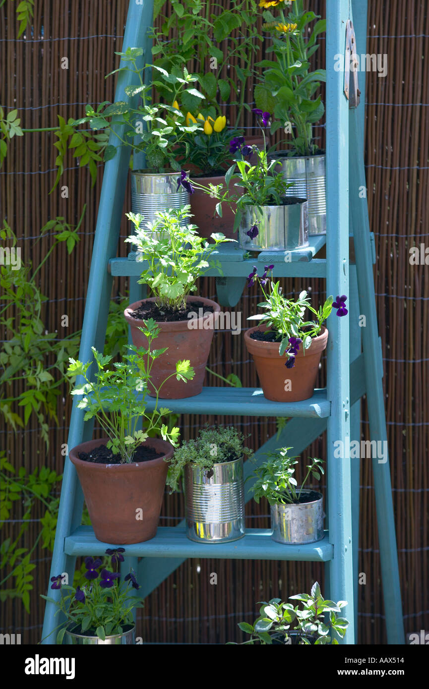 Scaletta utilizzato come supporto per vasi di piante in giardino cottage  Foto stock - Alamy