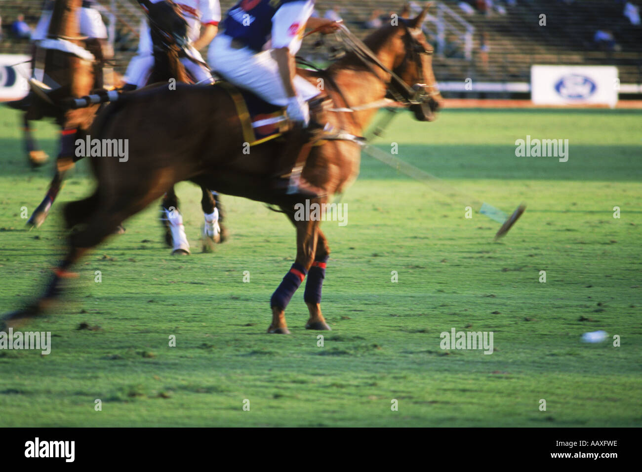 Giocatori di polo in azione a Campo de Polo in Buenos Aires, Argentina Foto Stock