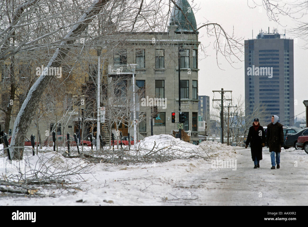 Lafontaine park Montreal dopo il 1998 tempesta di ghiaccio, le persone alla ricerca di danni Foto Stock