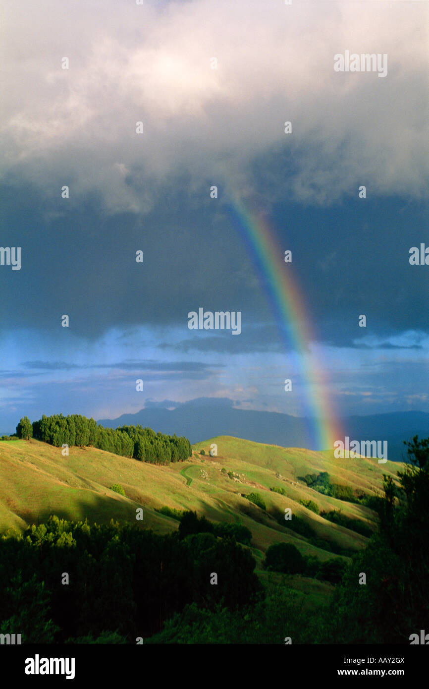 Rainbow versando su di una nuvola e toccando una collina assolata Tilden Park California verticale Foto Stock