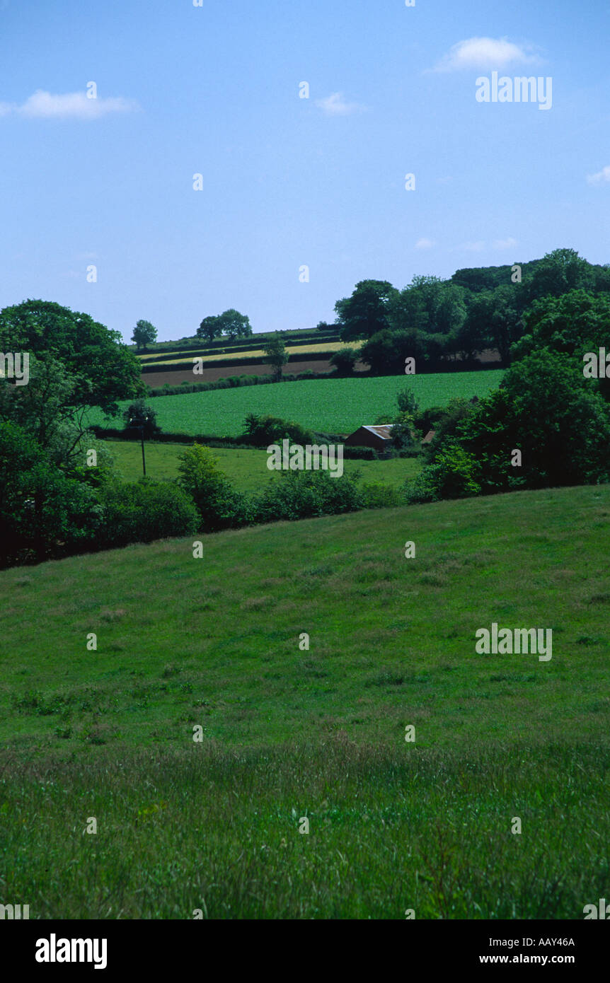 Le colline vicino a Tiverton e Exeter in metà Devon England Foto Stock