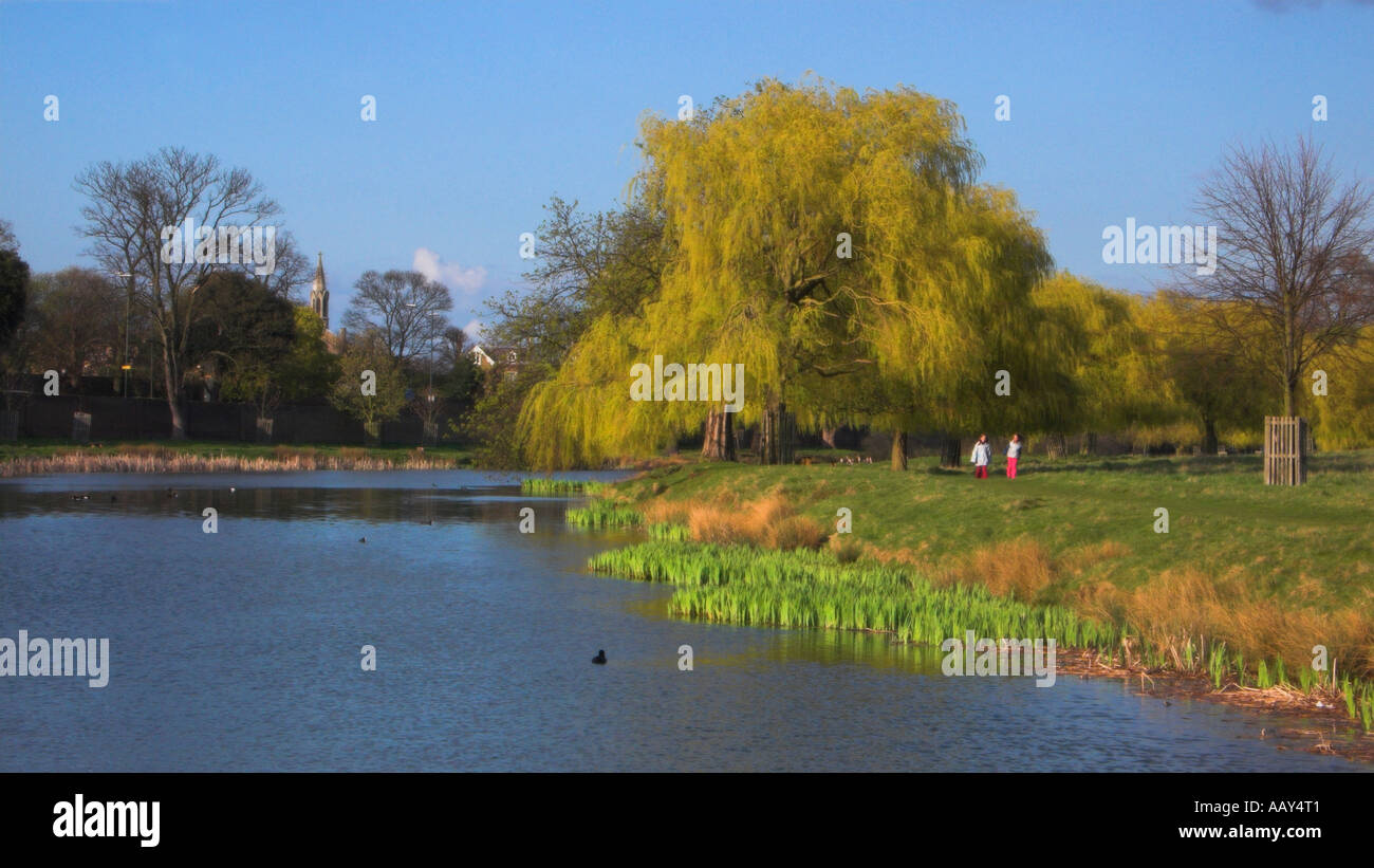 Europa REGNO UNITO Inghilterra Londra Hampton Court Home Parco Lago Foto Stock