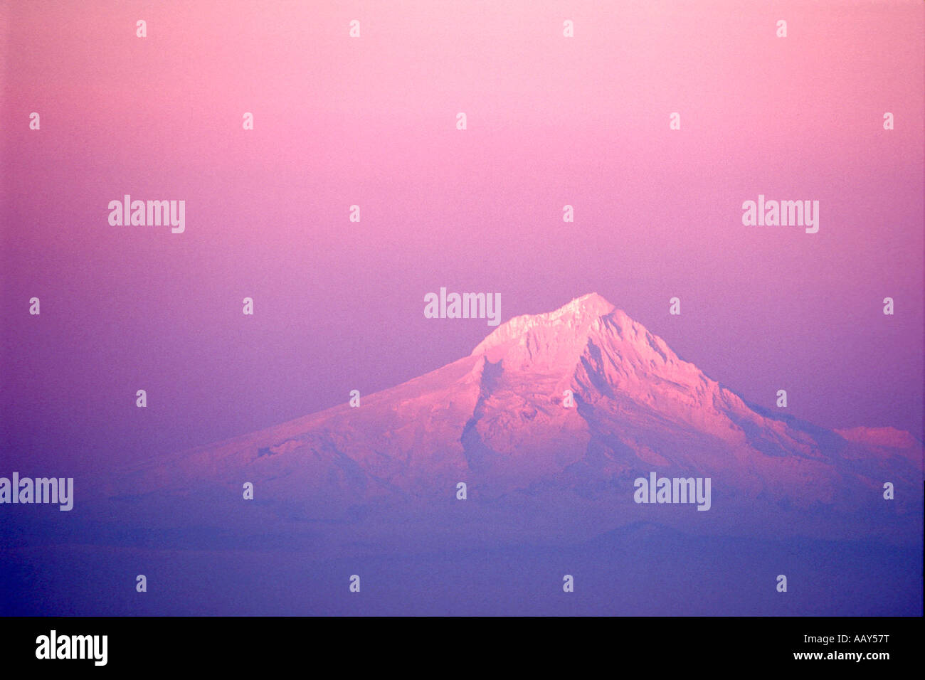 Monte Cofano una coperta di neve montagna salendo sopra le nuvole a sunrise in Oregon nel nord-ovest del Pacifico Foto Stock