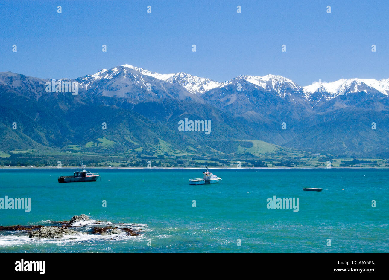 Kaikoura Nuova Zelanda Foto Stock