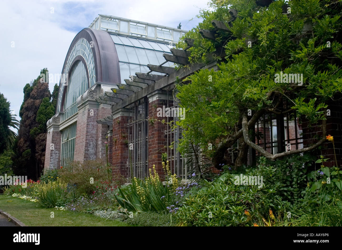 Winter Gardens Auckland Domain Foto Stock