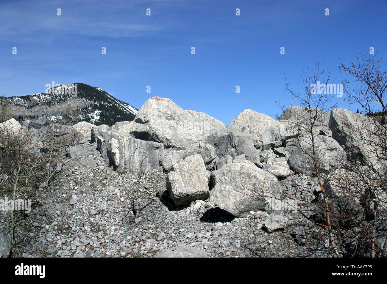 Diapositiva di roccia, Crowsnest Pass, Frank diapositiva, Turtle Mountain, Alberta, Canada, America del Nord. Foto Stock