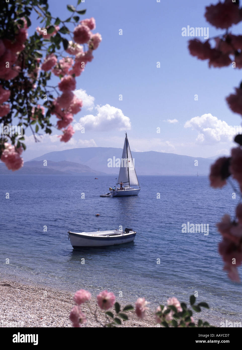 Fiori rosa che incorniciano la vista della baia di Agni una baia con spiaggia di ciottoli e una piccola barca a vela sul Mar Ionio vista dal mare Taverna Corfù Isola Grecia Foto Stock