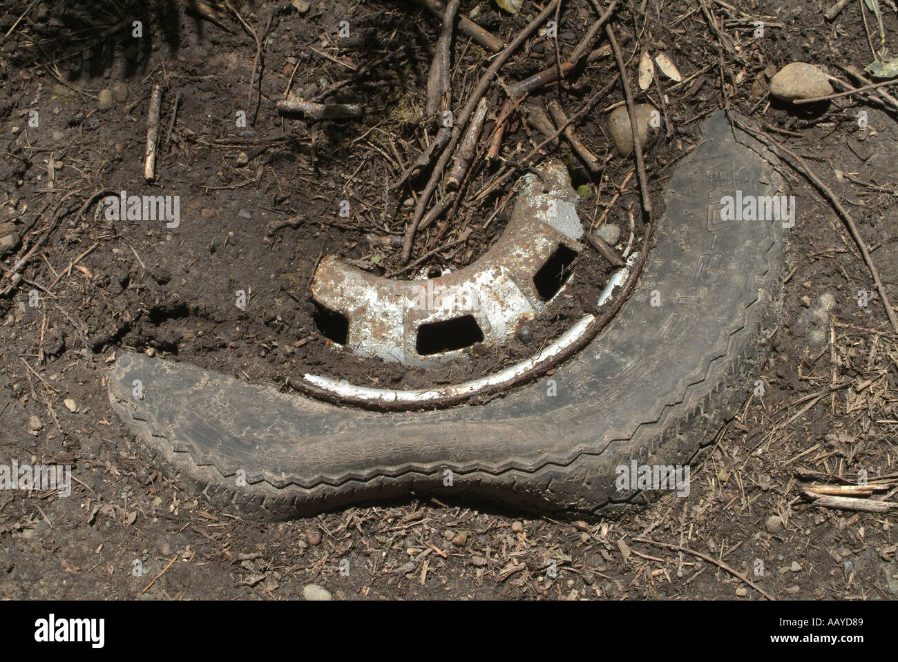 Scartato automobile metà ruota furono sepolti nel sentiero escursionistico Nanaimo Vancouver Island British Columbia Canada Foto Stock