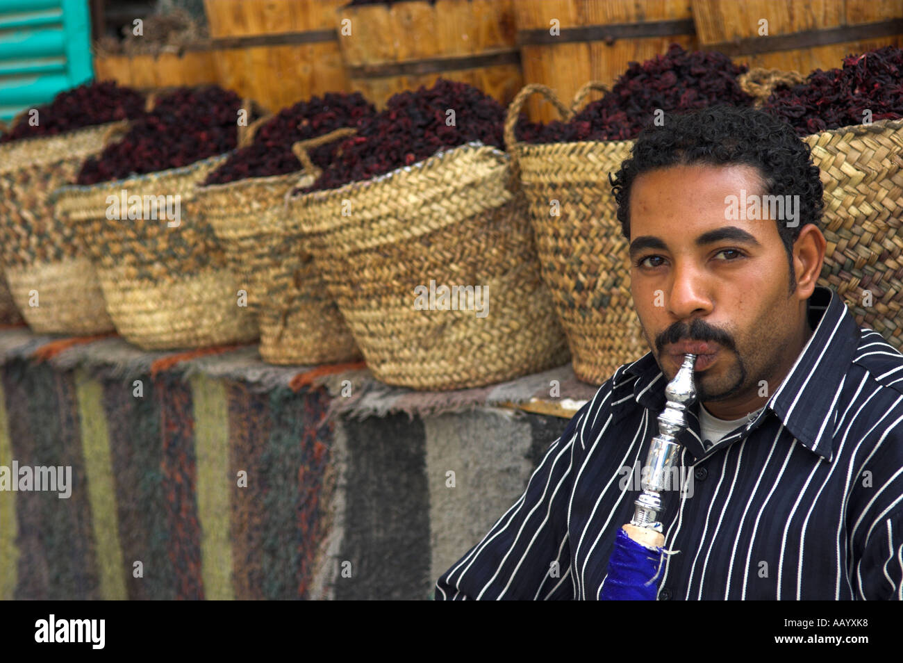 Ritratto uomini rilassante salotto fumatori tubazione shisha davanti a barili di hibiscus tea Hurghada Foto Stock