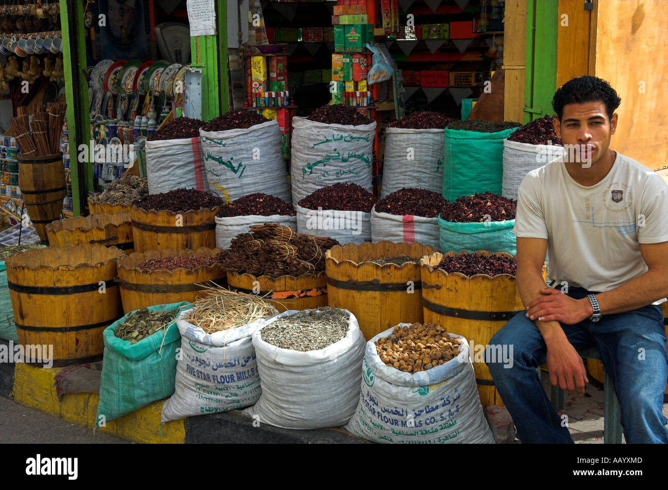 Egyptian uomo seduto nella parte anteriore del negozio di spezie regione Ed-Dahar Hurghada Egitto Foto Stock
