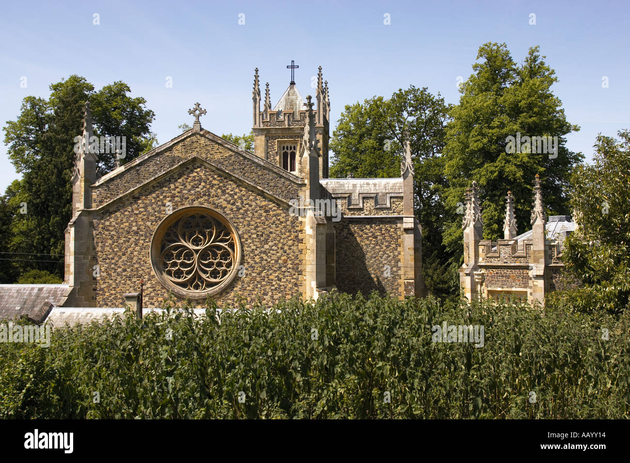 La chiesa cattolica chiesa slancio Albury Surrey in Inghilterra REGNO UNITO Foto Stock