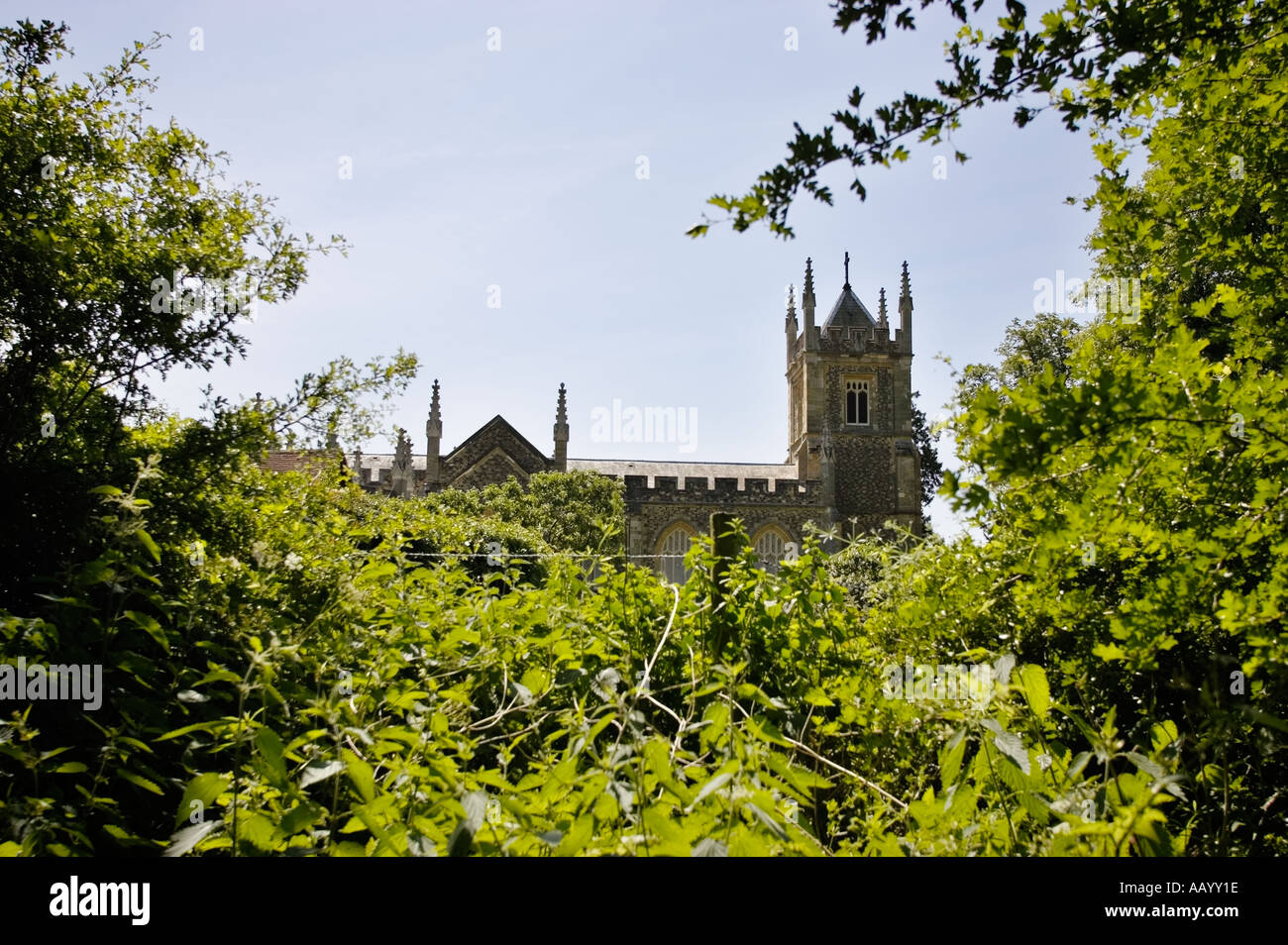 La chiesa cattolica chiesa slancio Albury Surrey in Inghilterra REGNO UNITO Foto Stock