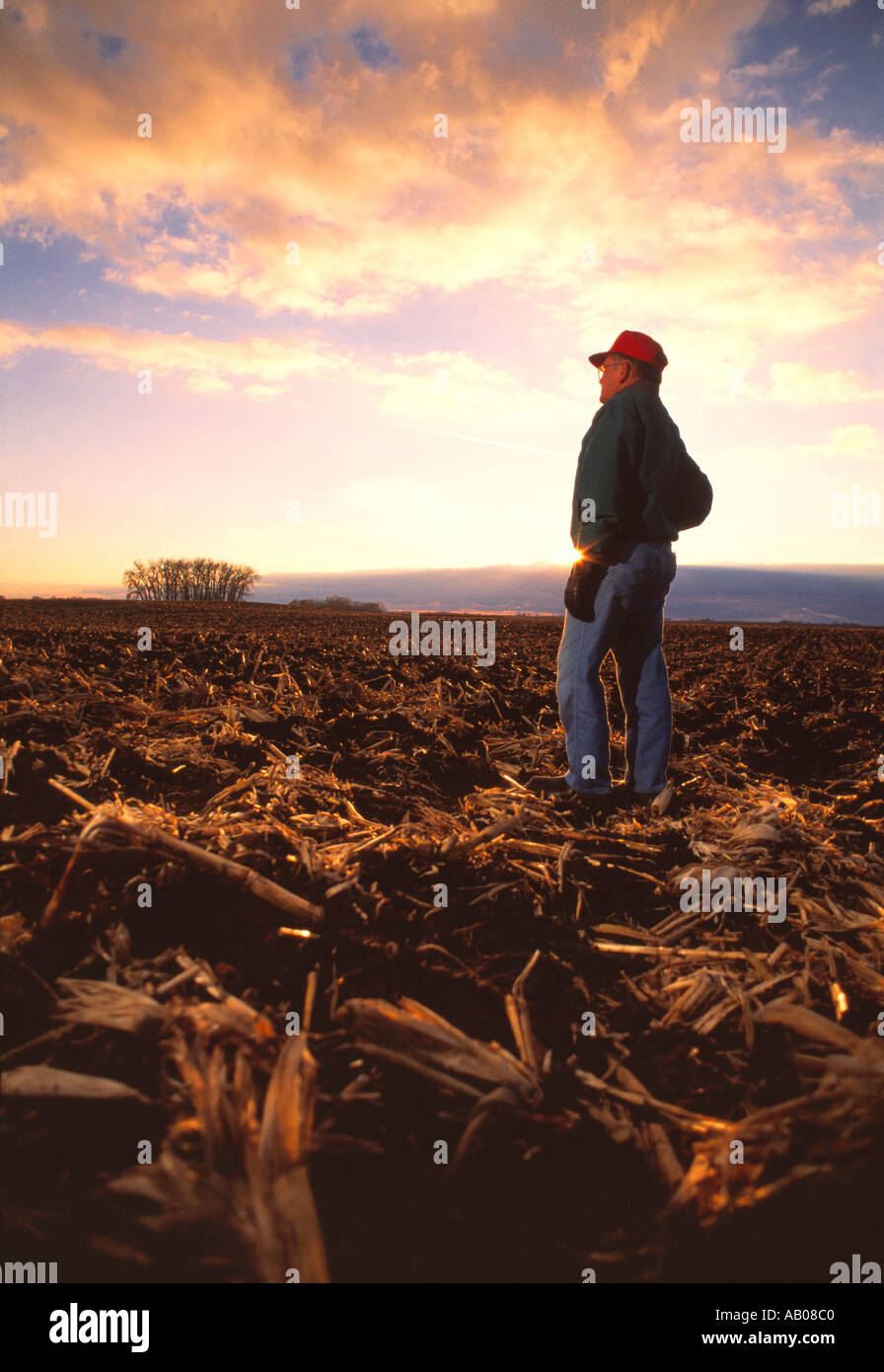 Agricoltura - Contadino guardando fuori attraverso il suo scalpello maggese arato campo di stoppie di mais in inverno / Minnesota, Stati Uniti d'America. Foto Stock