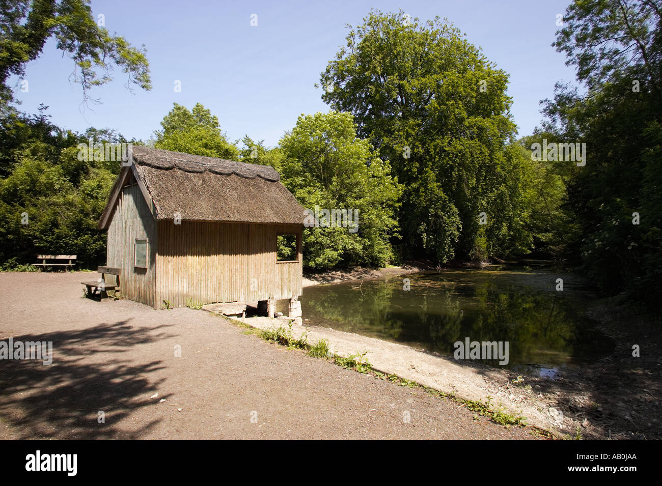 Bird watching nascondere alla piscina silenzioso stagno vicino a Guildford, Surrey, England, Regno Unito Foto Stock