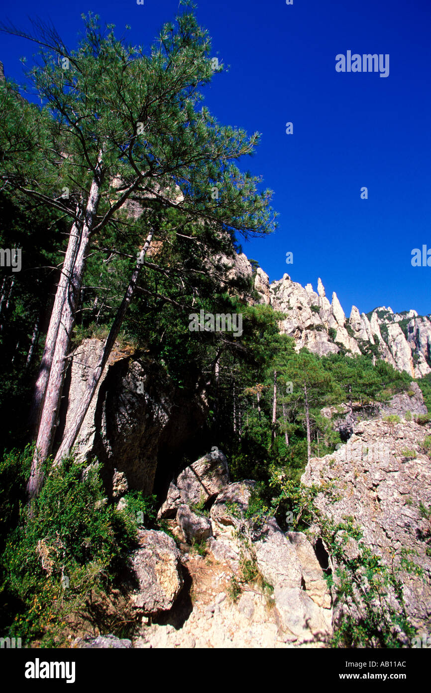 Les Gubies del Parrissal. Els porte. Aragona. Spagna Foto Stock