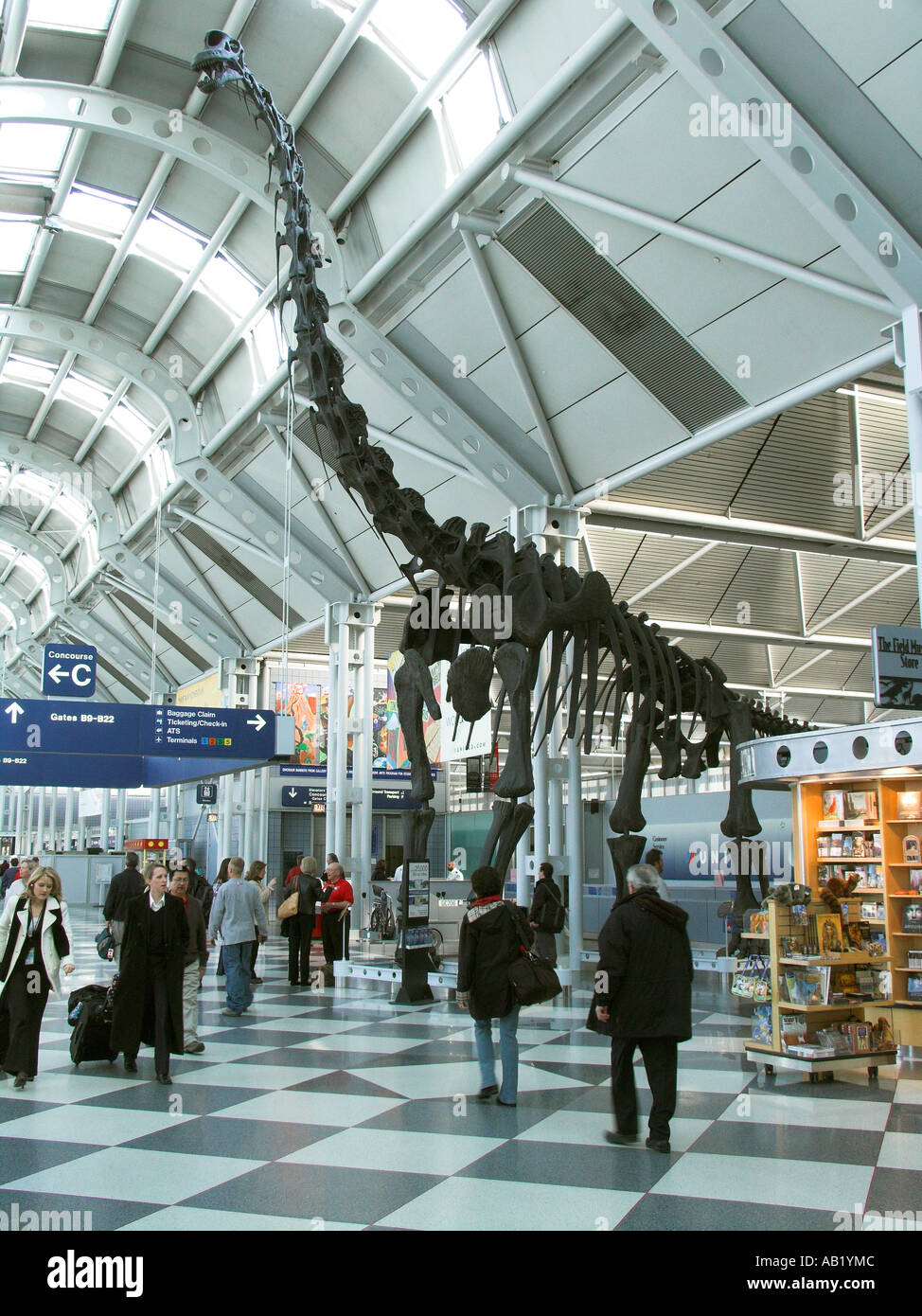 Stampato lo scheletro di dinosauro in United Airlines Chicago OHare Airport Terminal promuovere la compagnia aerea partner il Chicago Field Museum Foto Stock