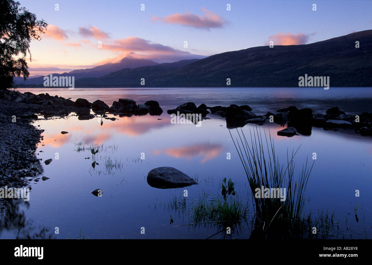 Schiehallion riflessa in Loch Rannoch all'alba Perthshire Scozia UK Foto Stock
