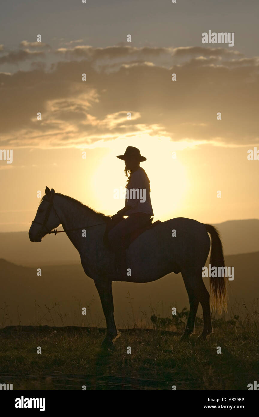 Femmina di cavaliere e cavallo a trascurare a Lewa Wildlife Conservancy nel nord Kenya Africa al tramonto Foto Stock