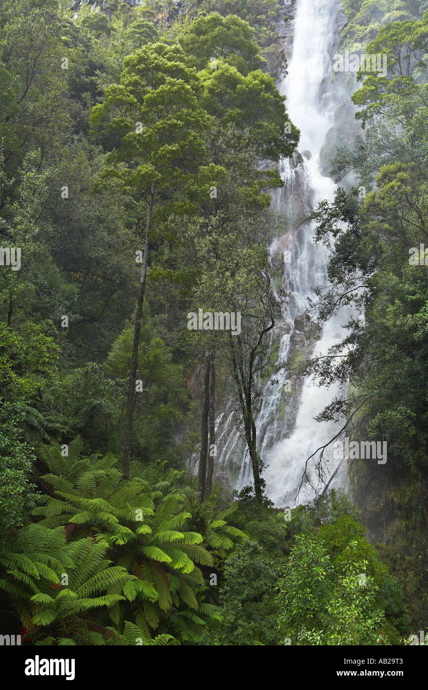 Montezuma cade una foresta pluviale temperata cascata nr Rosebery regione occidentale della Tasmania Australia Foto Stock