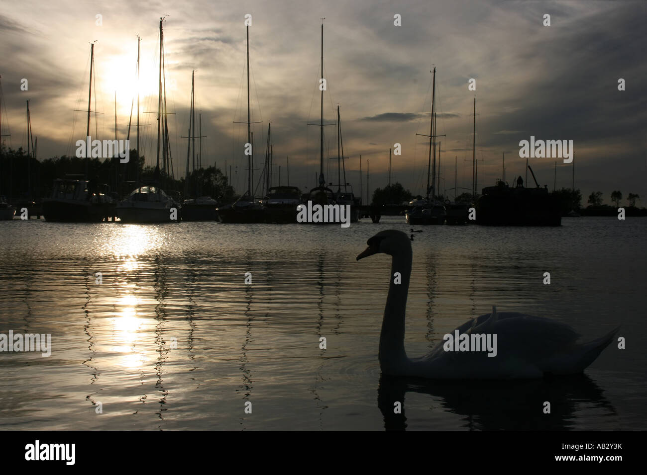 Sunset over Kinnego Marina a Lough Neagh, Craigavon, nella contea di Armagh, Irlanda del Nord Foto Stock