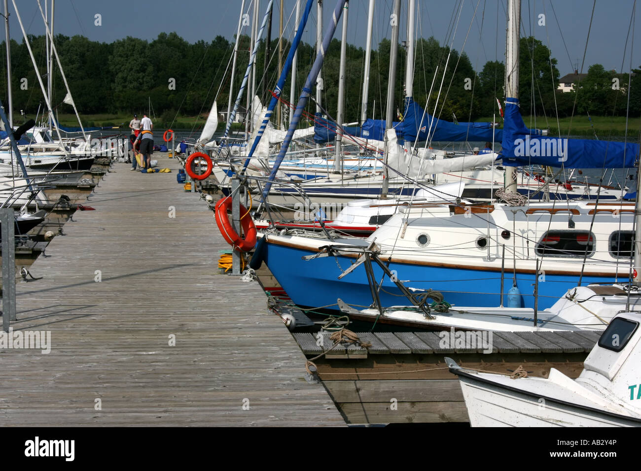 Imbarcazioni da diporto ormeggiati a Marina Kinnego, Lough Neagh, Craigavon, nella contea di Armagh, Irlanda del Nord Foto Stock