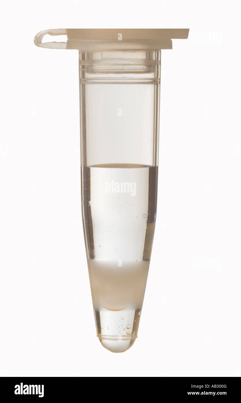 La reazione a catena della polimerasi (PRC) tubo Foto Stock