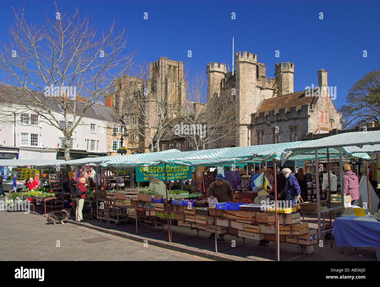 Giorno di mercato nella città di pozzetti con il duomo alle spalle Somerset Inghilterra Foto Stock