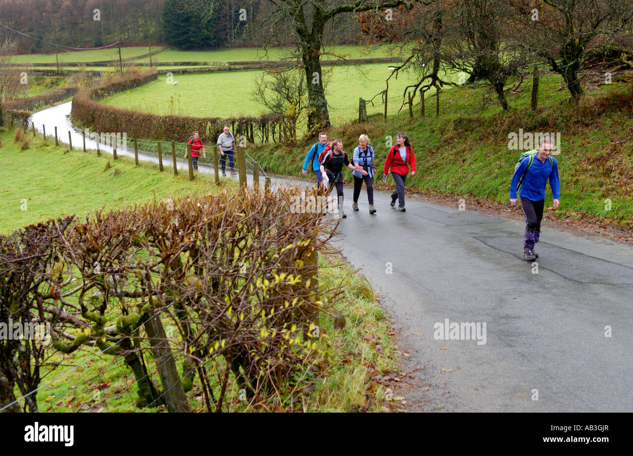Gruppo di escursionisti sulla strada di campagna vicino a Llanwrtyd Wells Powys Wales UK prendendo parte al Real Ale Ramble walking festival Foto Stock