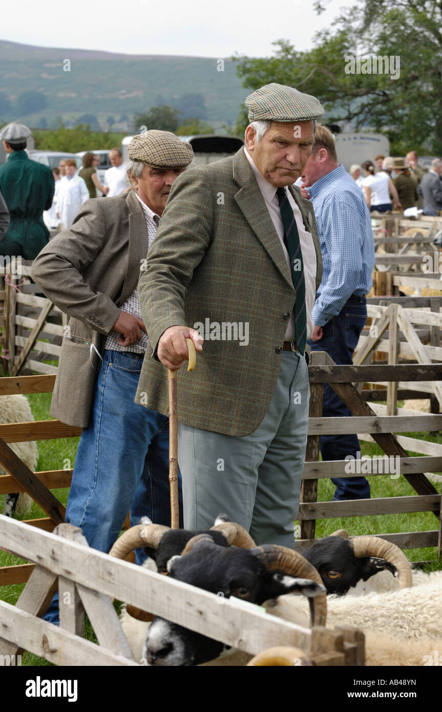 Pecore a giudicare, Danby mostrano, North York Moors, North Yorkshire, Inghilterra Foto Stock