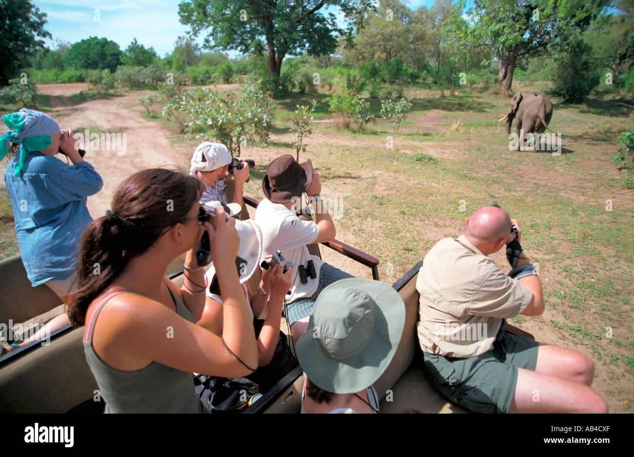 I turisti scattano fotografie e la visione di gioco elefanti da un veicolo a 4 ruote motrici. Foto Stock