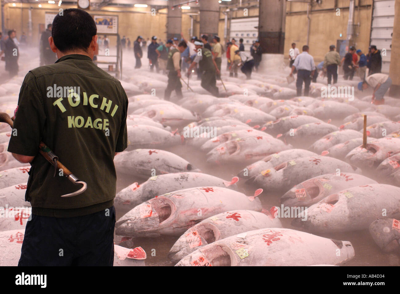 Tonno congelato stabiliti prima asta a Tokyo il mercato del pesce di Tsukiji in Giappone Foto Stock