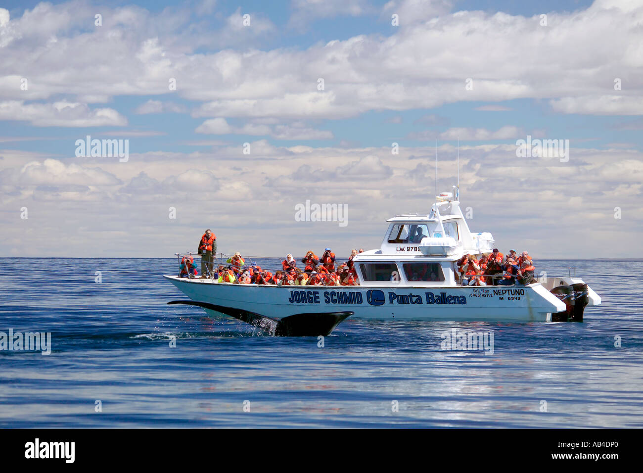 Una barca piena di turisti di osservazione delle balene con le loro macchine fotografiche pronto come la coda scende al di sotto della superficie dell'acqua. Foto Stock