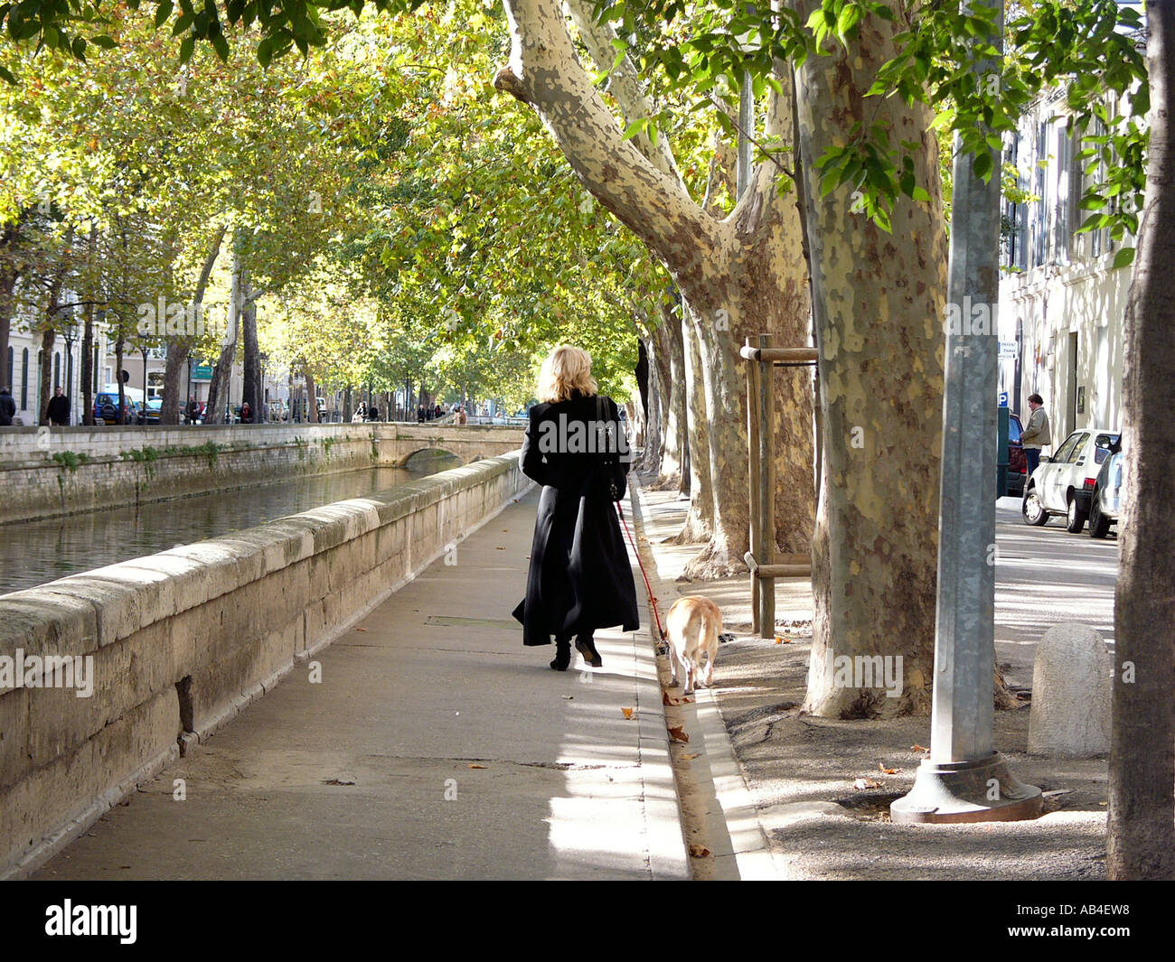 Donna bionda passeggiate con il cane da un canale a Nimes , Francia. Foto Stock