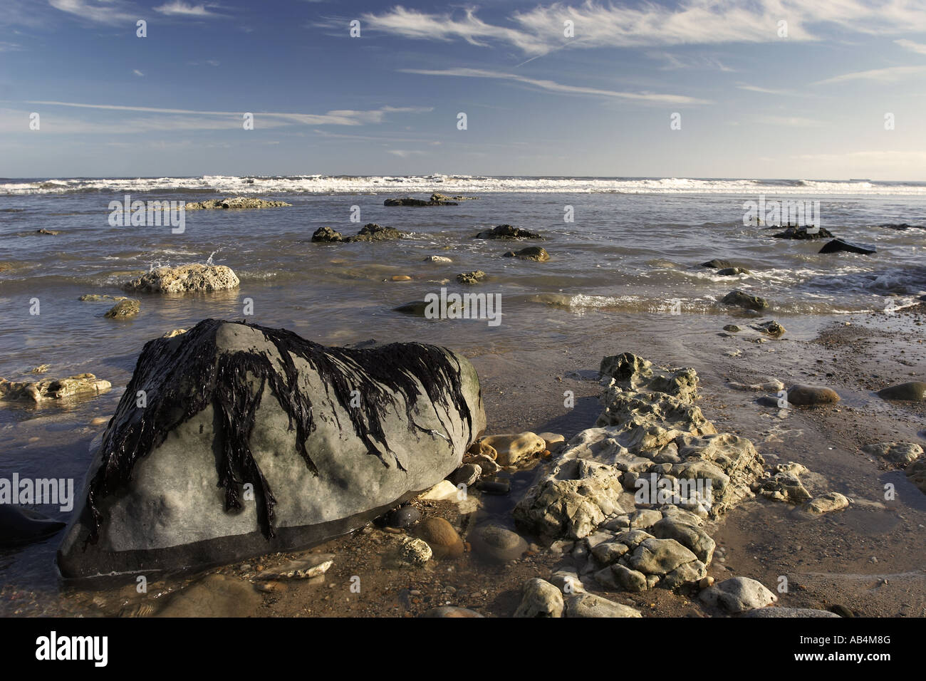 Rocce con alghe, Seaham, Co Durham Foto Stock